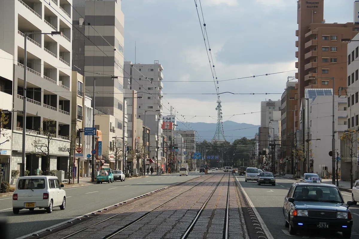 Seasonal Citrus Calendar: What to Order When in Matsuyama