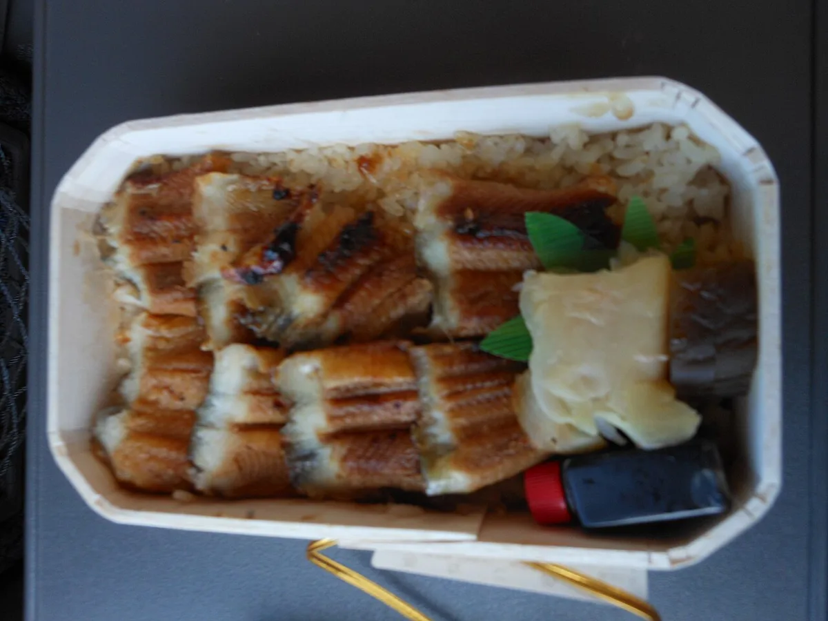 Katsu Anago Meshi by Hiroshima Ekibento — 2