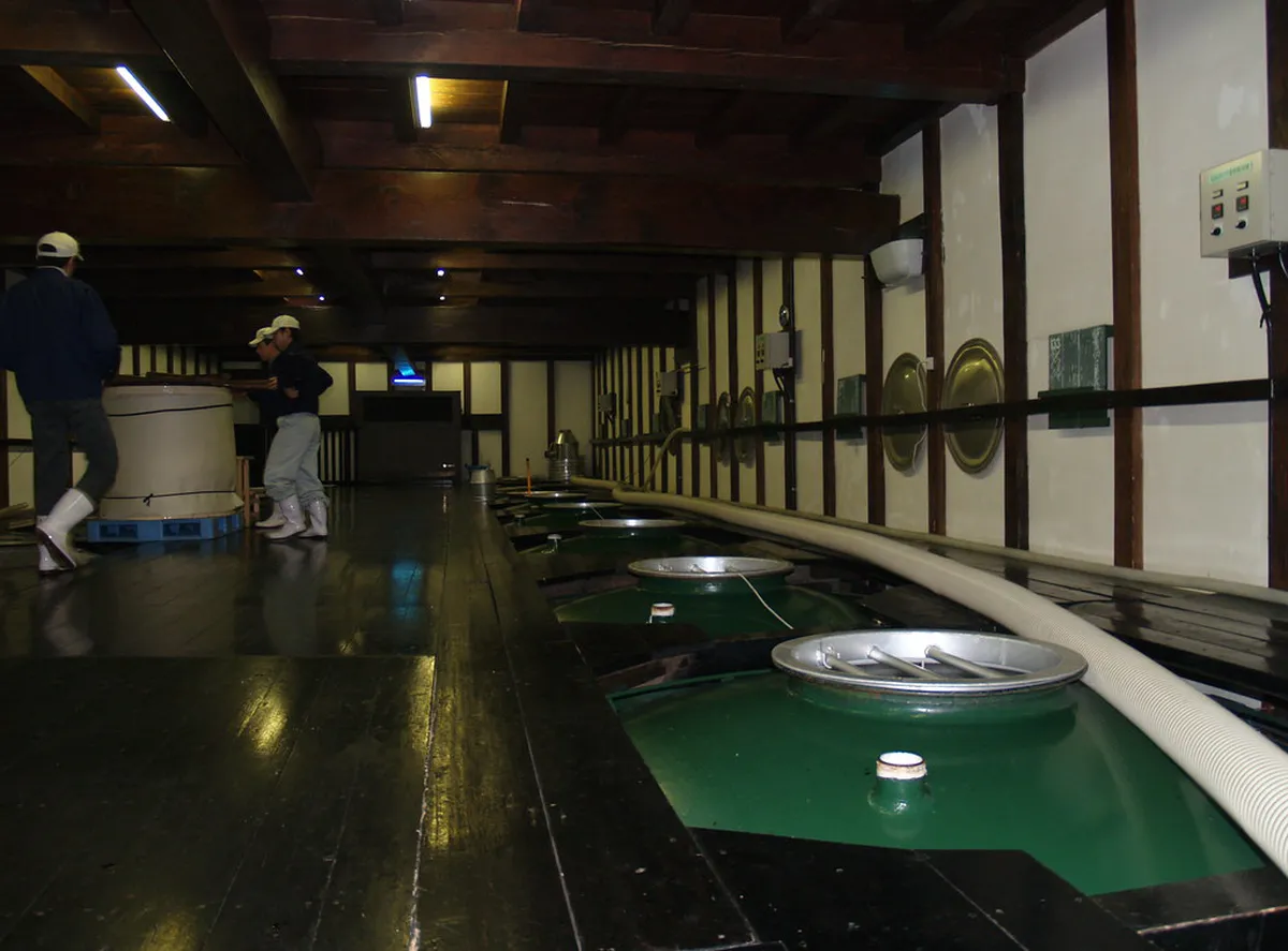 Traditional Japanese sake brewery fermentation room with cedar barrels and koji rice production Japan