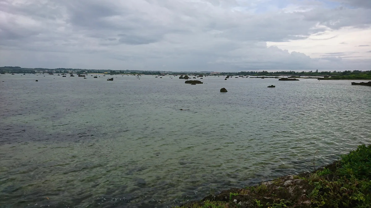 DSC_0562.jpg