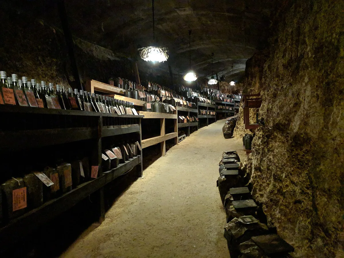 Taragawa Cellar — 1