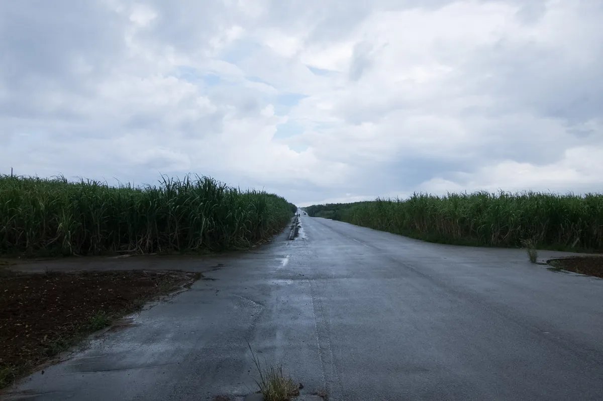Mistakes to Avoid: Season, Packing, and Biosecurity in Miyakojima