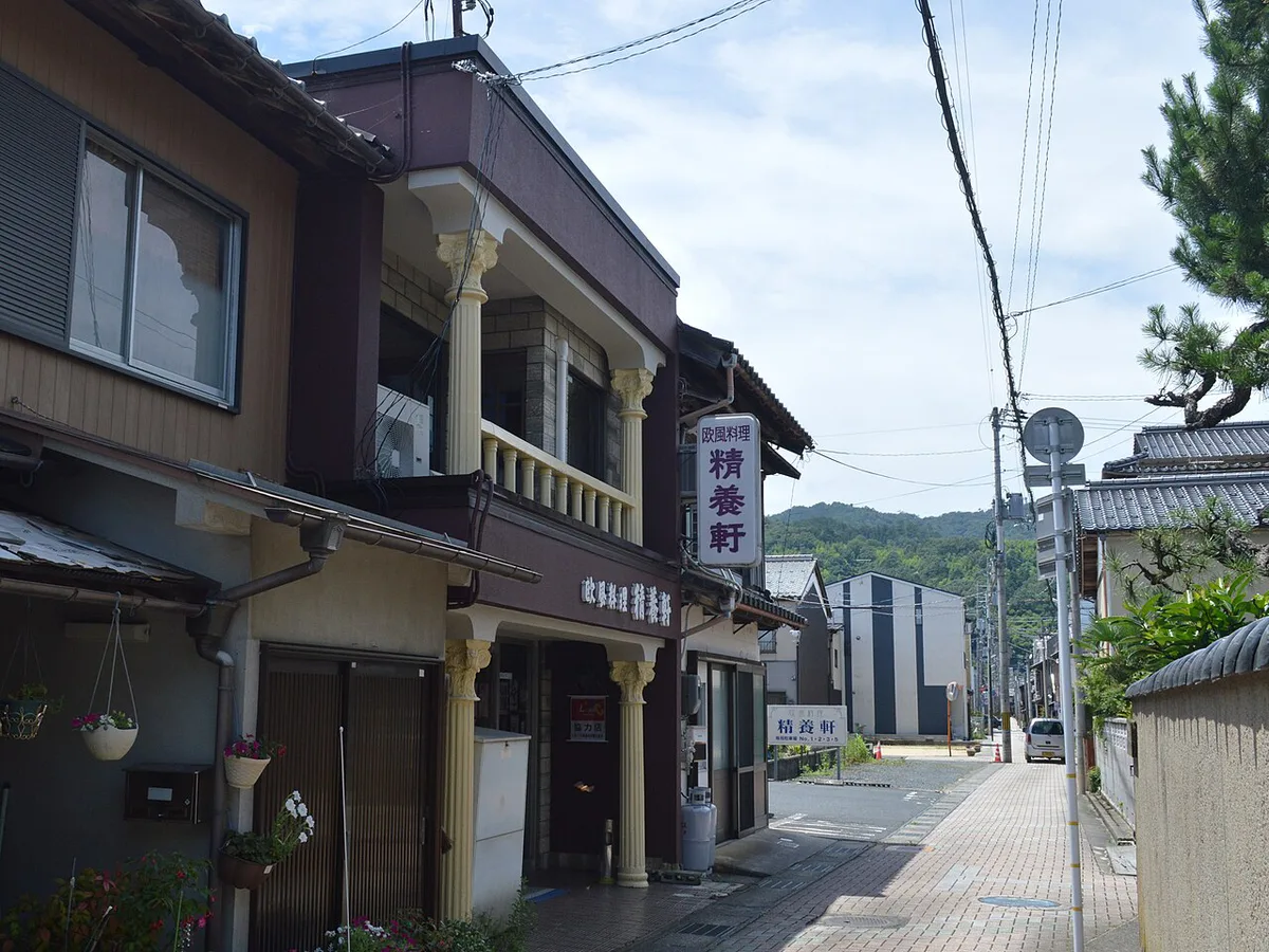 A hot plate of Miyazu Curry Yakisoba in northern Kyoto, Japan — 2