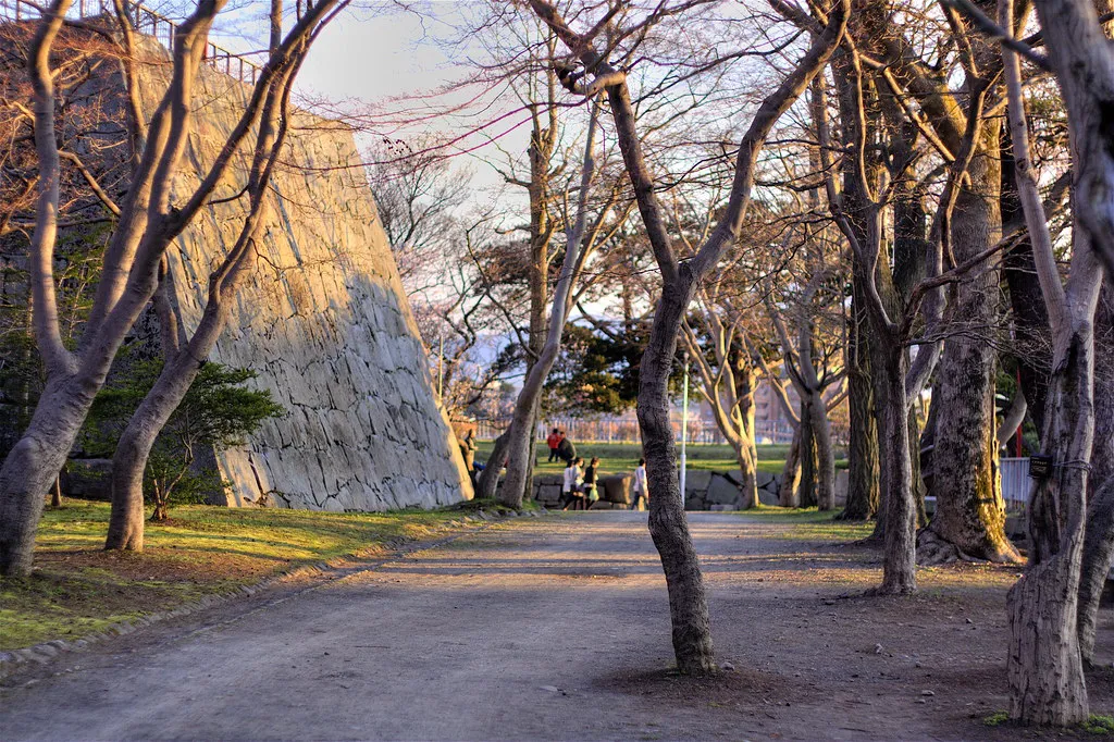 Morioka Iwate park cherry — Morioka, Japan