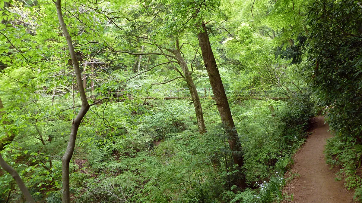 Onsen and End-of-Day Tips — Mount Takao