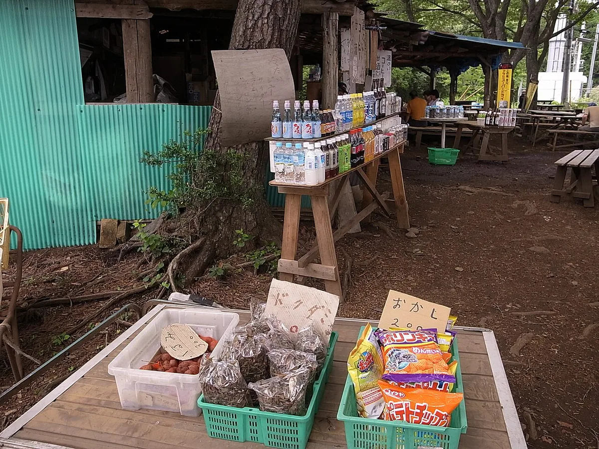 Tororo soba and tengu-shaped sweets served on Mount Takao, Japan — 2