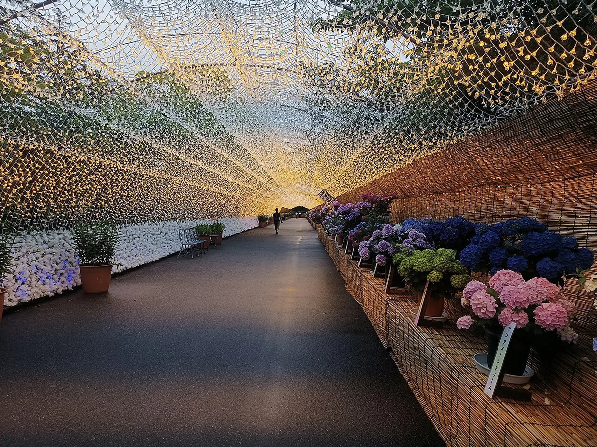 Illuminated LED light tunnel at Nabana no Sato in winter, Japan — 1