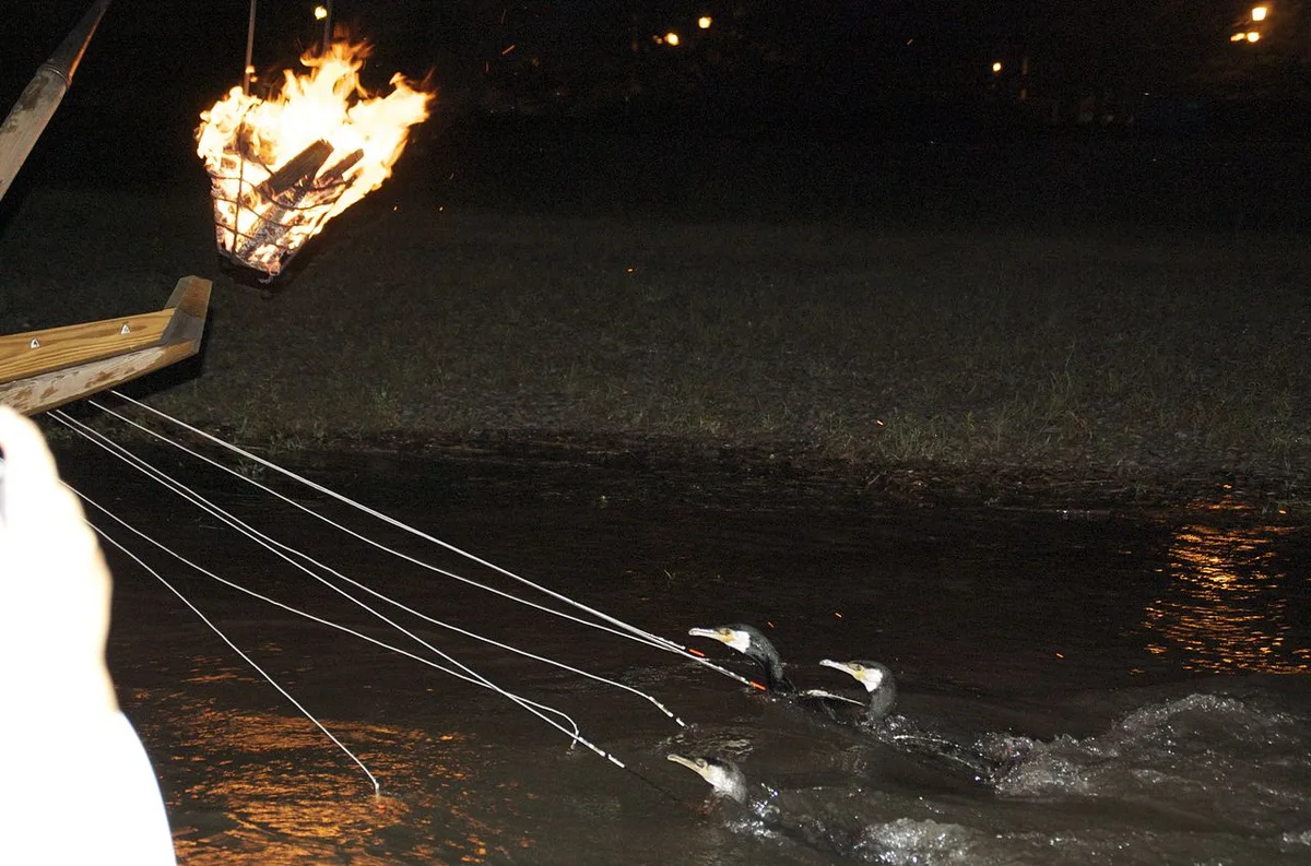 Nagara River cormorant fishing ukai — 1