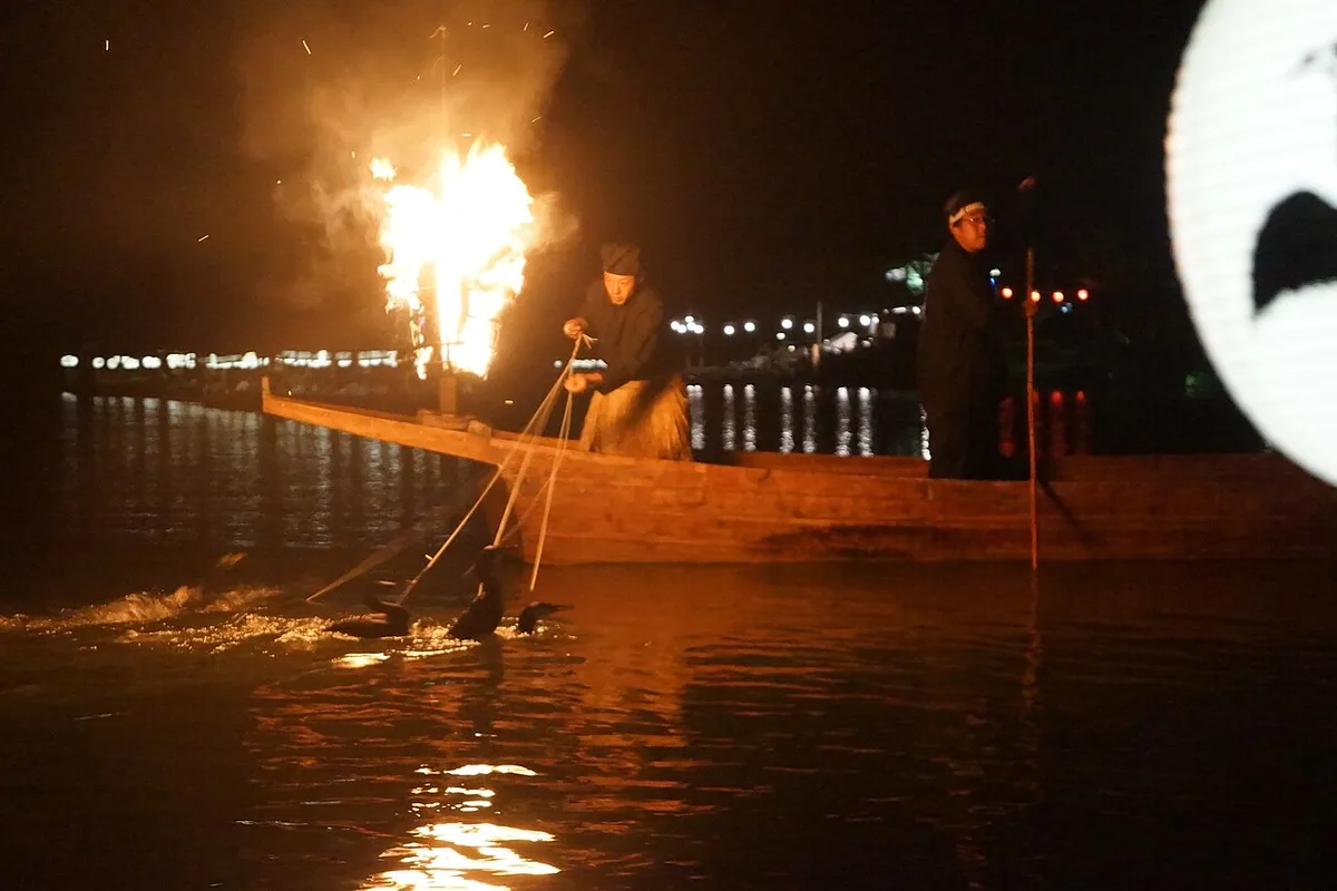 Nagara River cormorant fishing ukai — 2