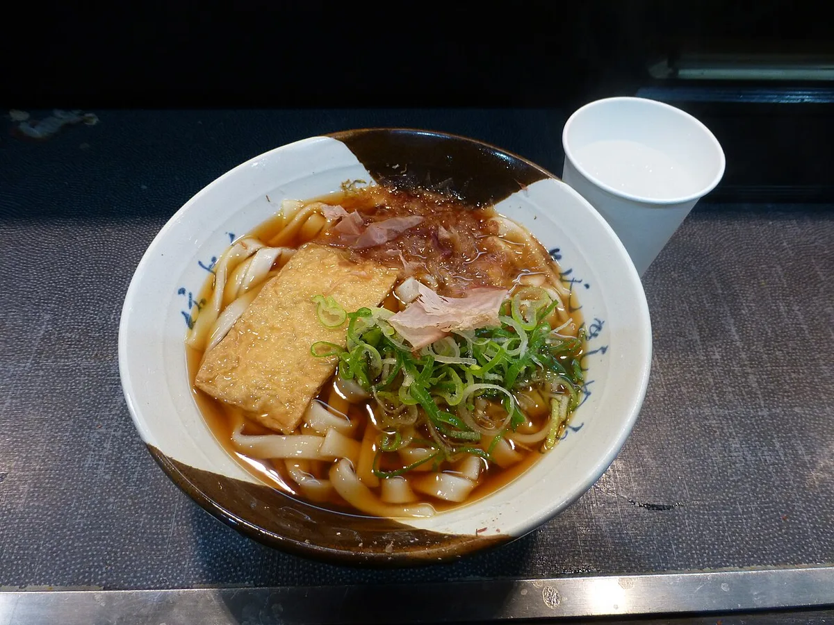Nagoya kishimen, Japan — 1
