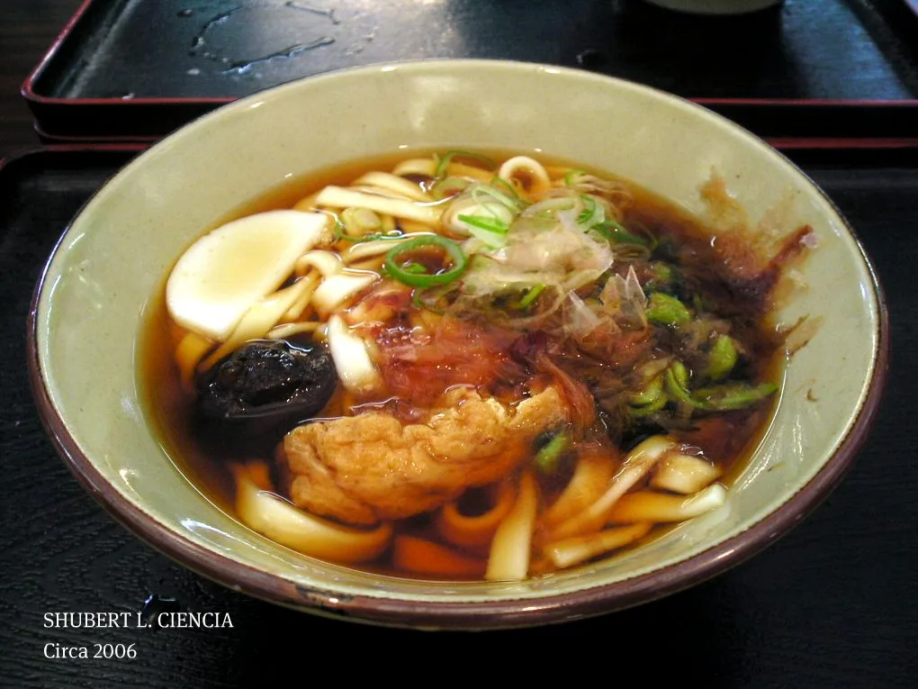 Nagoya kishimen, Japan — 2