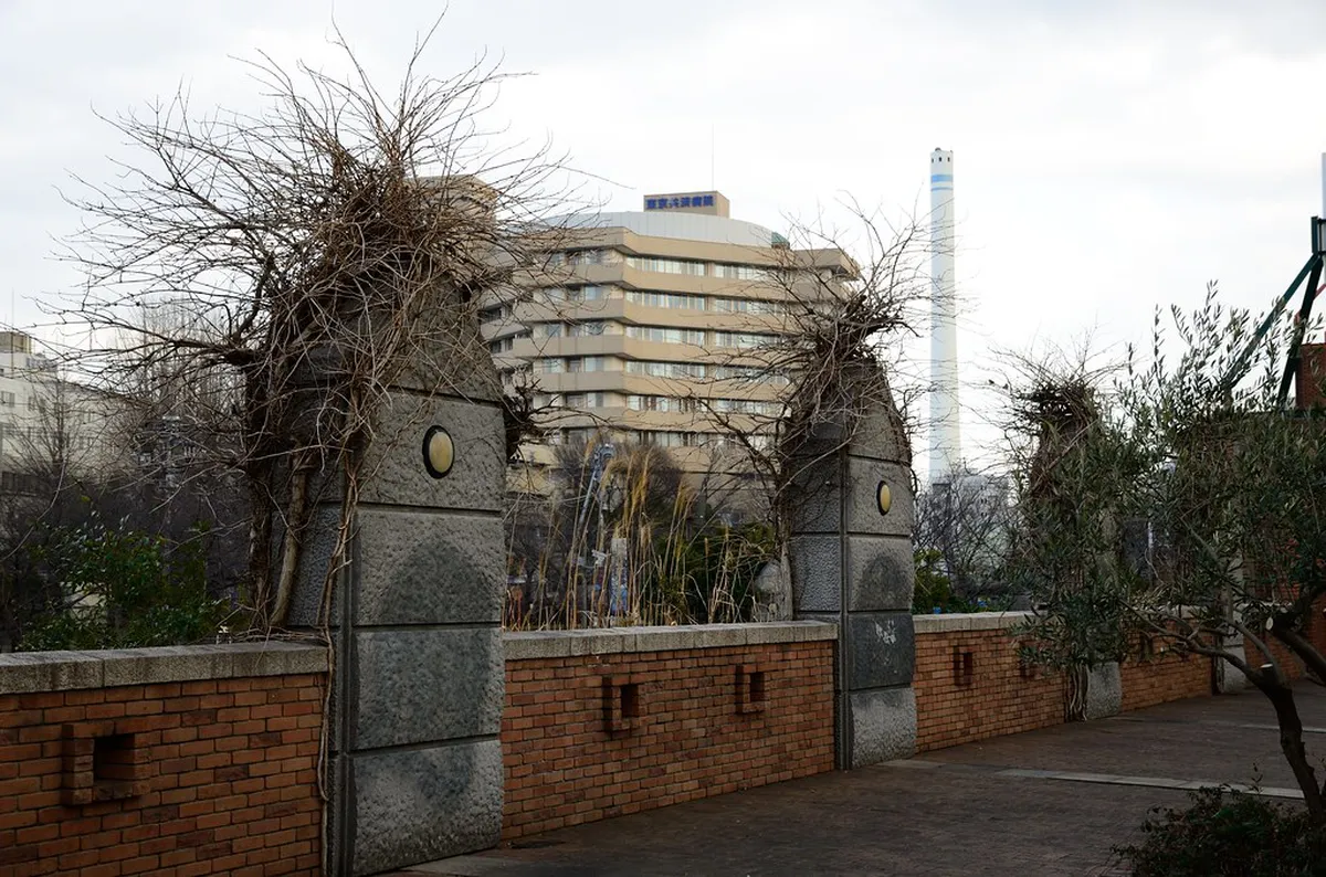 The Meguro River: Beyond the Cherry Blossom Tunnel in Tokyo