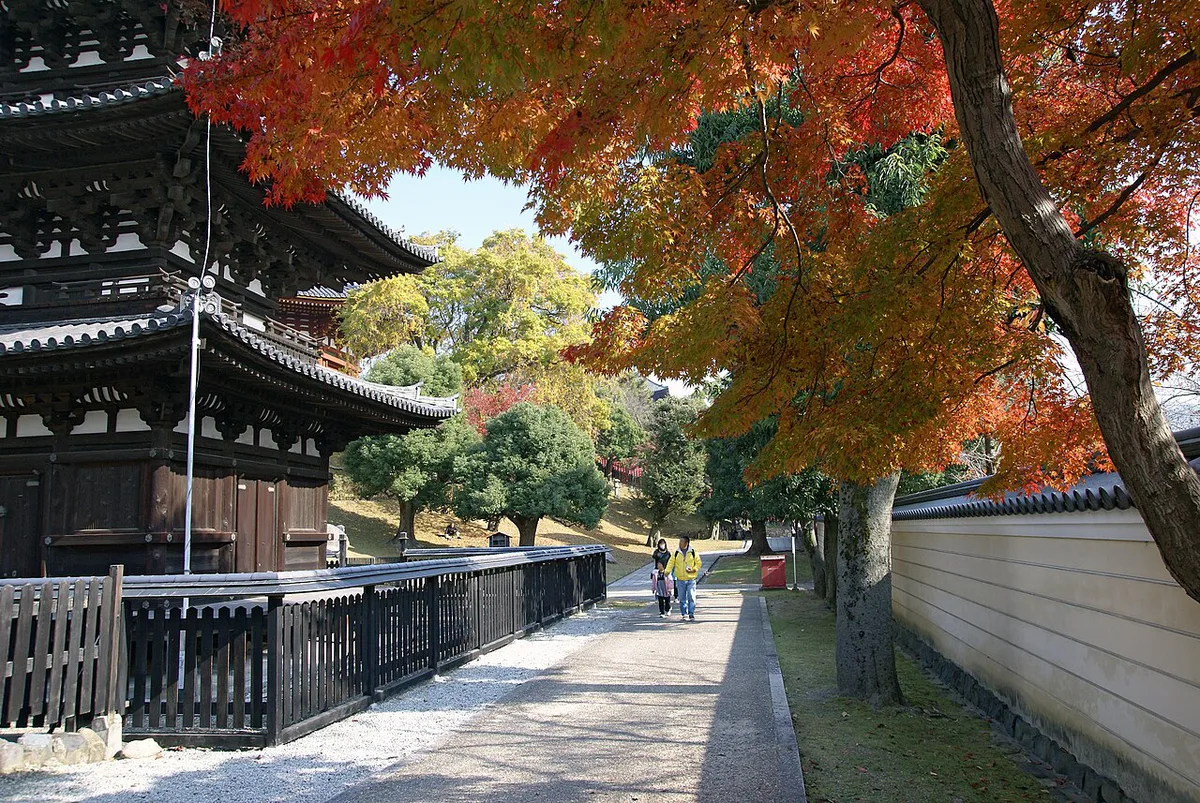 Kofukuji01s3872 — 1