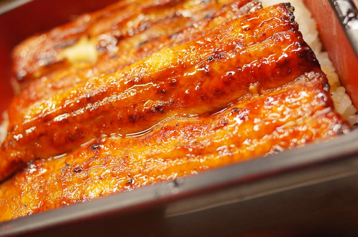 Kawatoyo and the Unagi Trade-Off: When to Sit Down for Eel in Narita