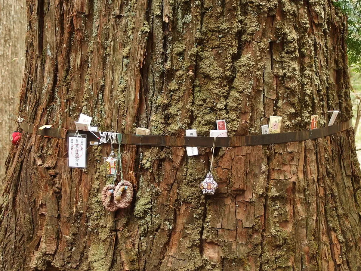 Takinoo shrine Nikko — nikko hidden gems in Nikko, Japan