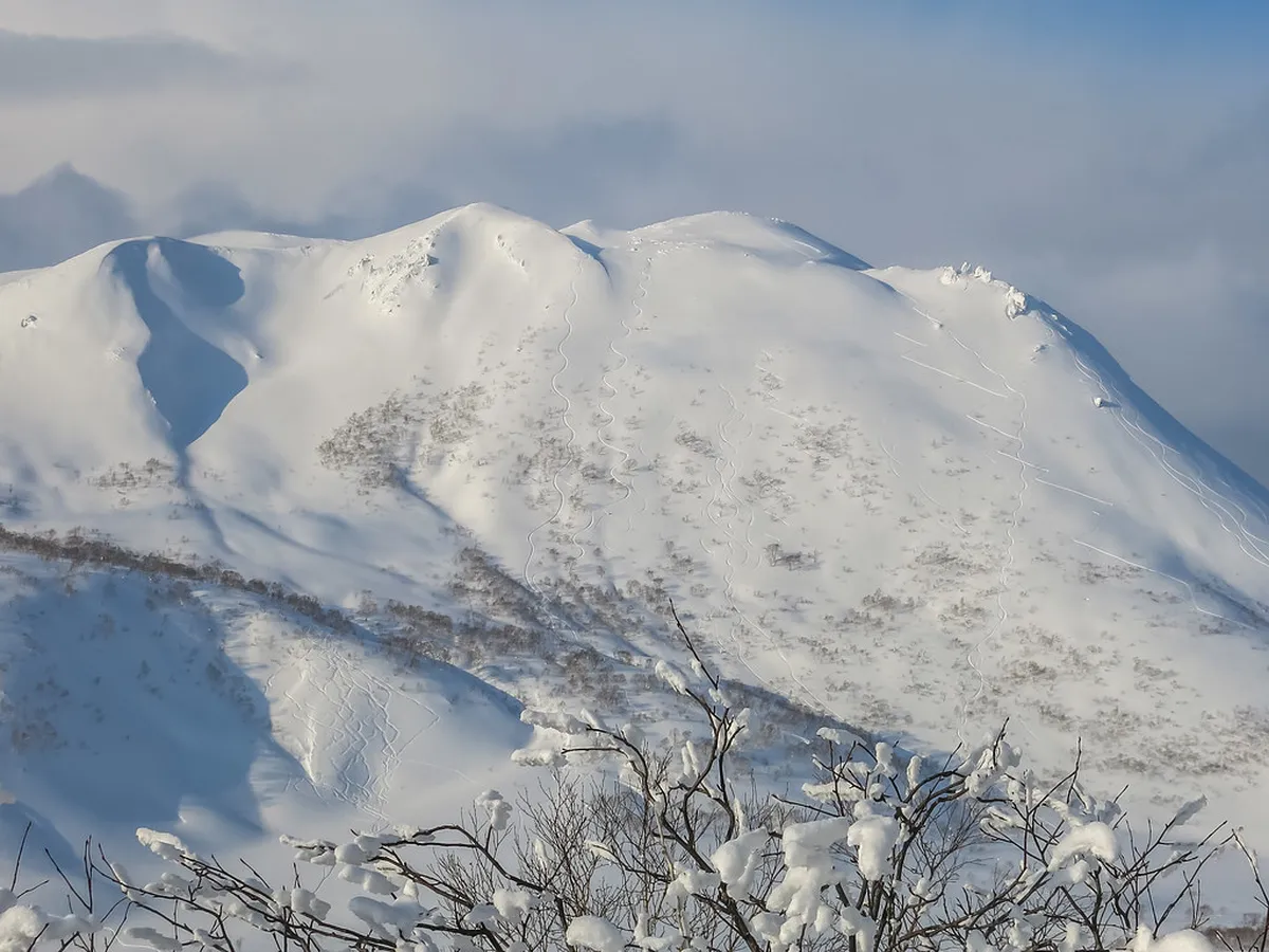 Skier launching off a powder-covered jump with deep Japanese snow at Niseko in Hokkaido, Japan