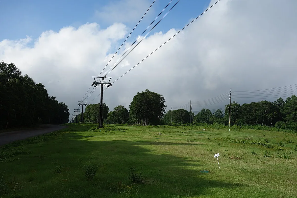 野沢温泉スキー場ヤナギランガーデン付近 20130708 - panoramio — 1
