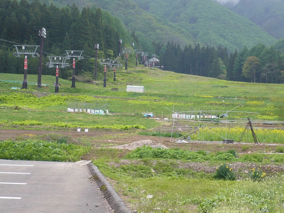 野沢温泉スキー場夏のゲレンデ - panoramio — 2