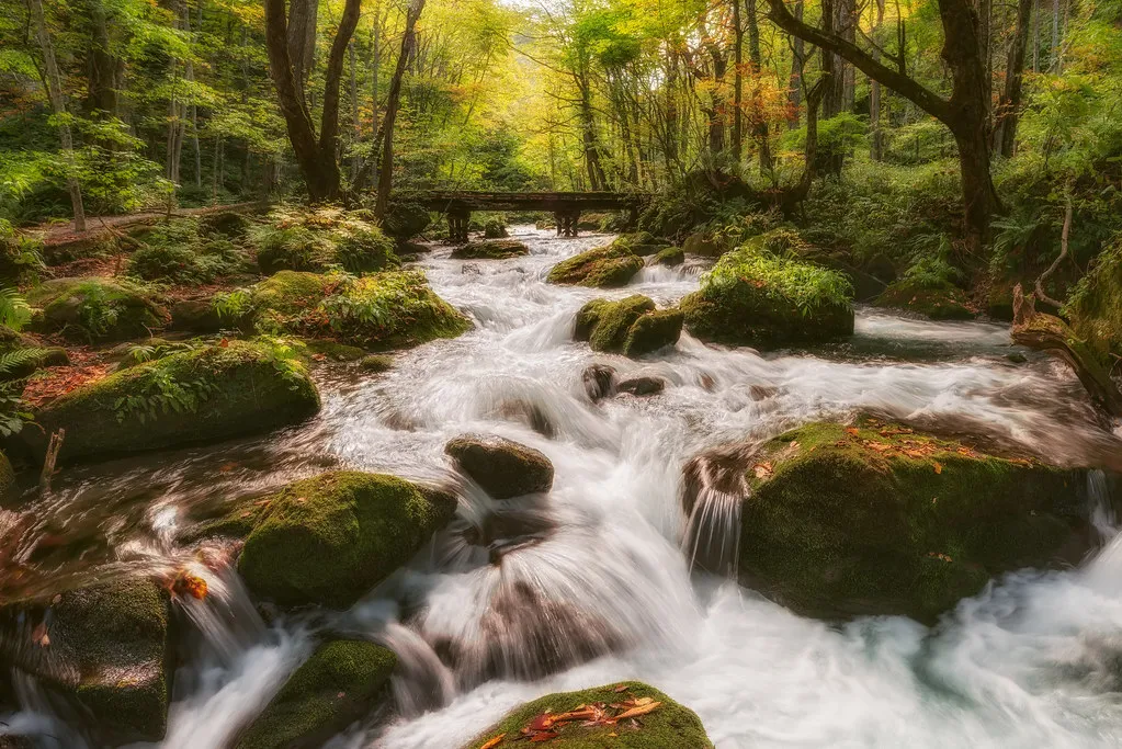 Oirase stream Aomori — Japan
