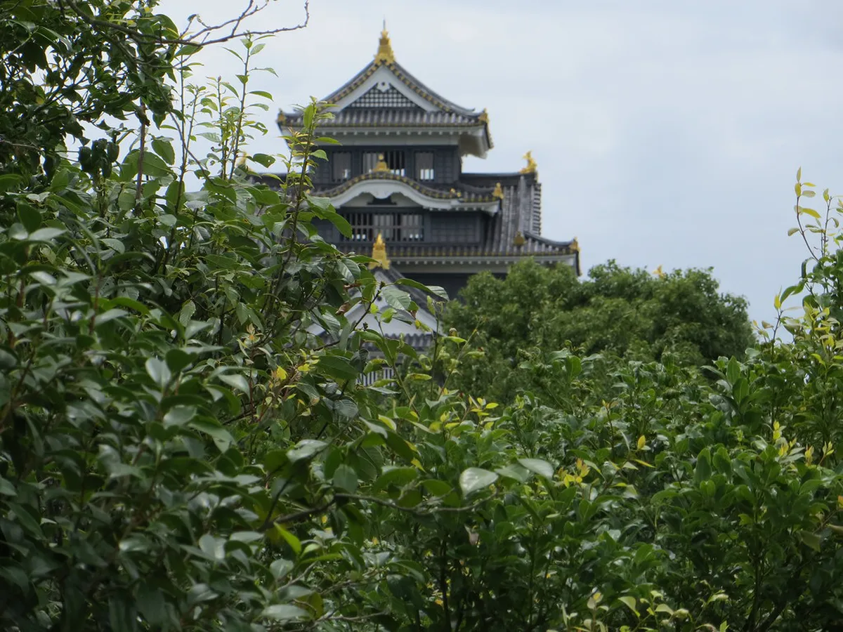 Getting to Okayama from Osaka by Bullet Train: A Step-by-Step Guide in Okayama