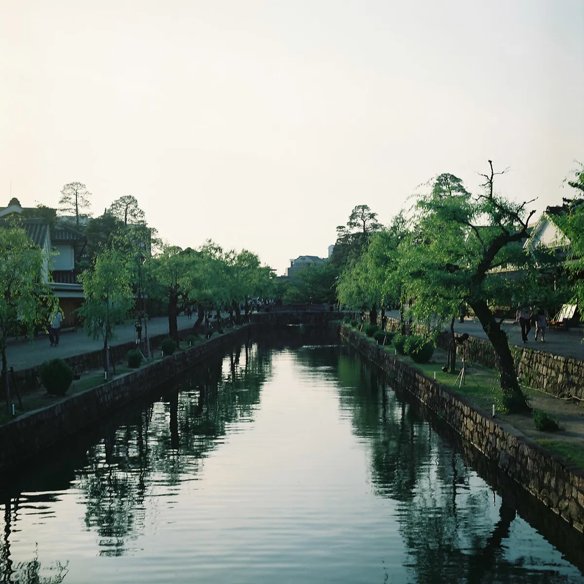 Mistakes to Avoid When Buying Kibi Dango in Okayama