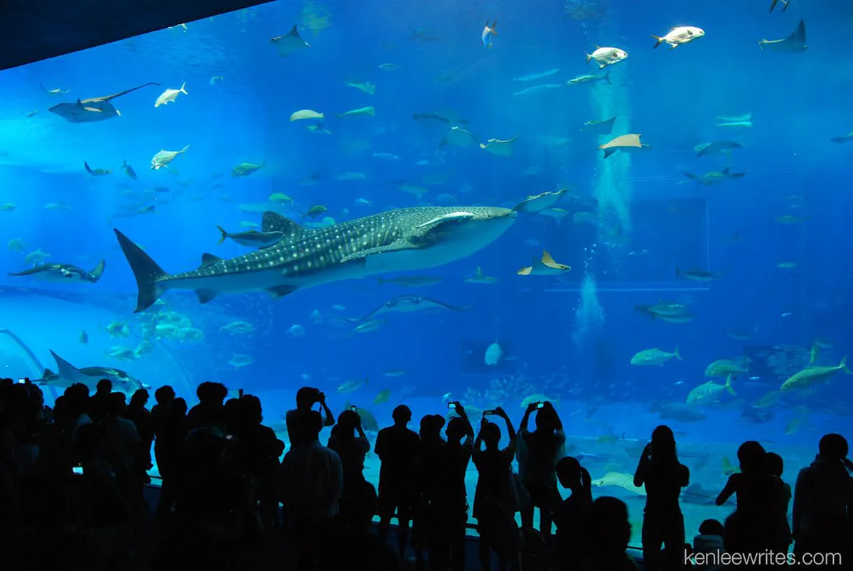 Why Okinawa is Perfect for Families with Kids - Okinawa