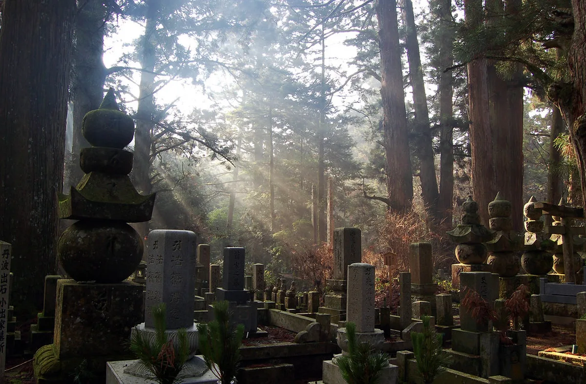 Cemetery cedar graves in Koyasan, Japan