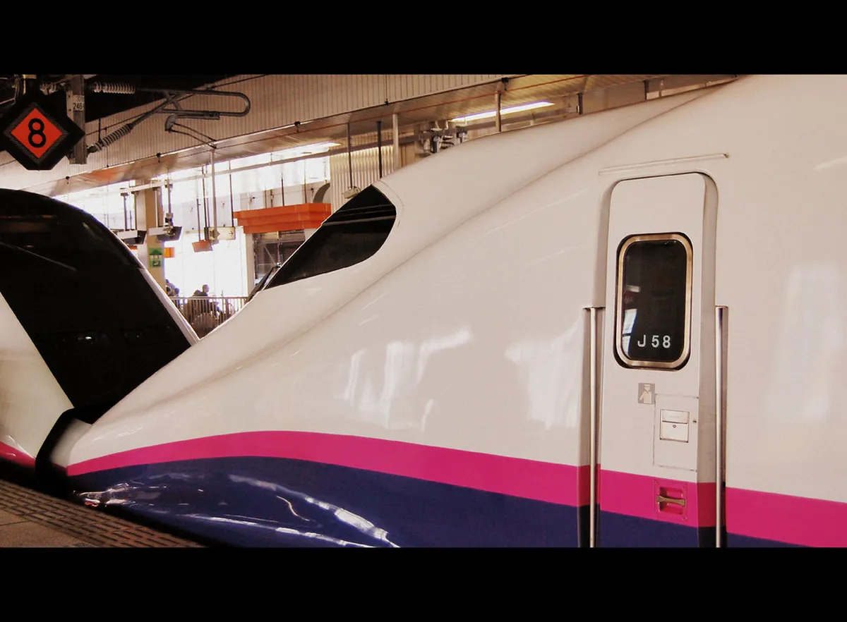 What to Pack and Common Mistakes to Avoid in Akita