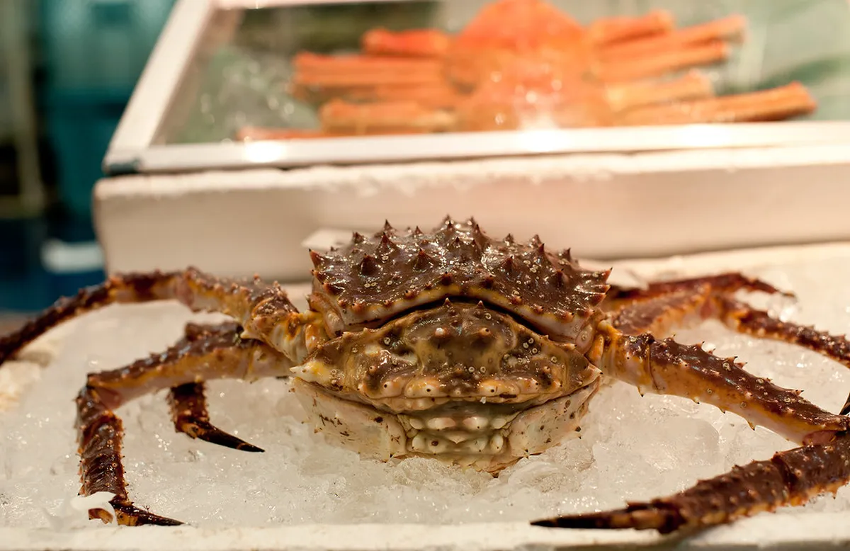 Premium snow crabs displayed at a seafood stall in Kanazawa's Omicho Market, the city's historic kitchen since 1721