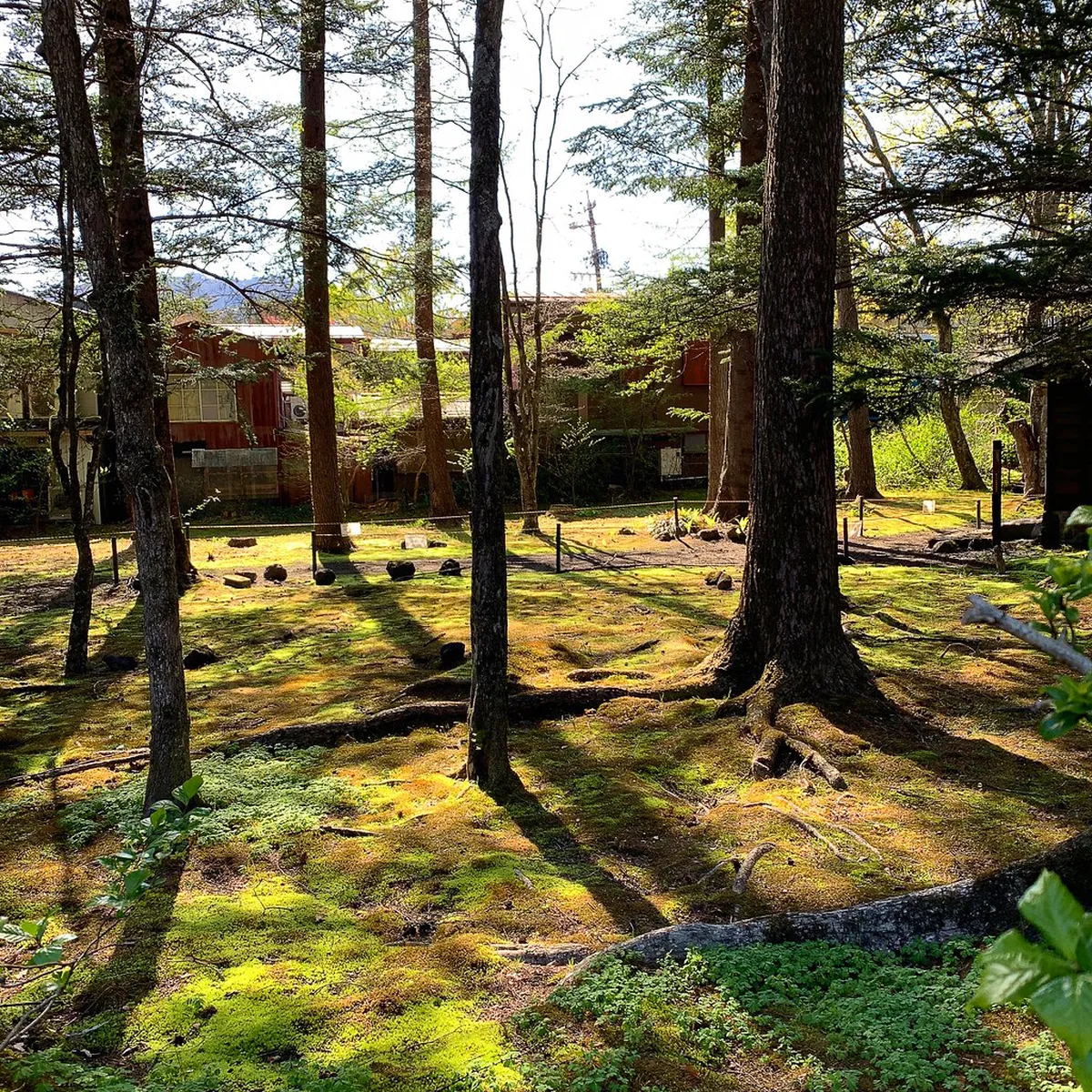 Combining Onioshidashi with Nearby Attractions — Karuizawa