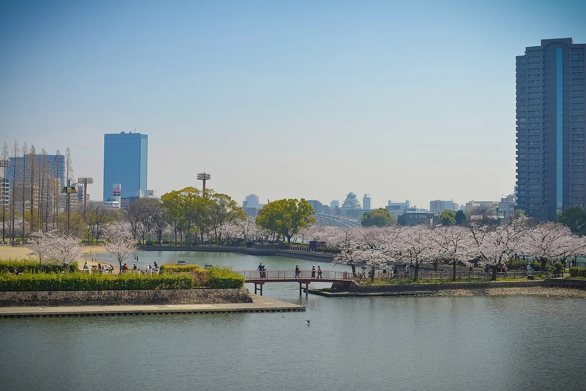 Cherry blossom buds at Osaka Castle Park in March, Japan — 1