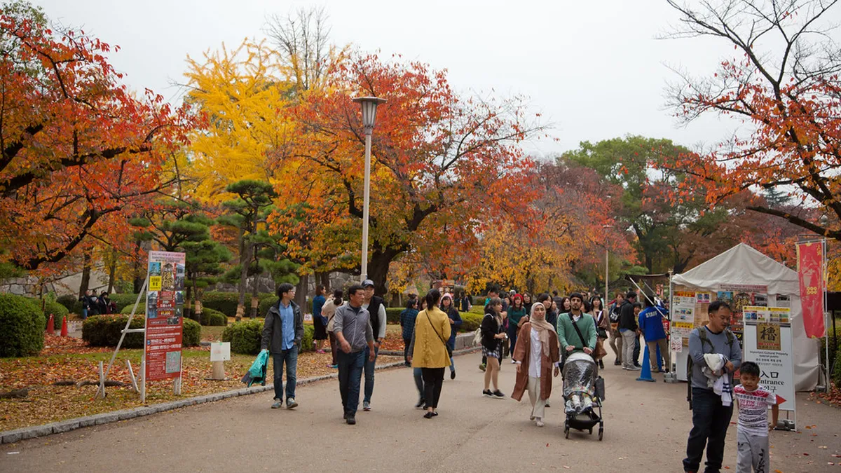 Osaka autumn leaves — osaka weather by month in Osaka, Japan