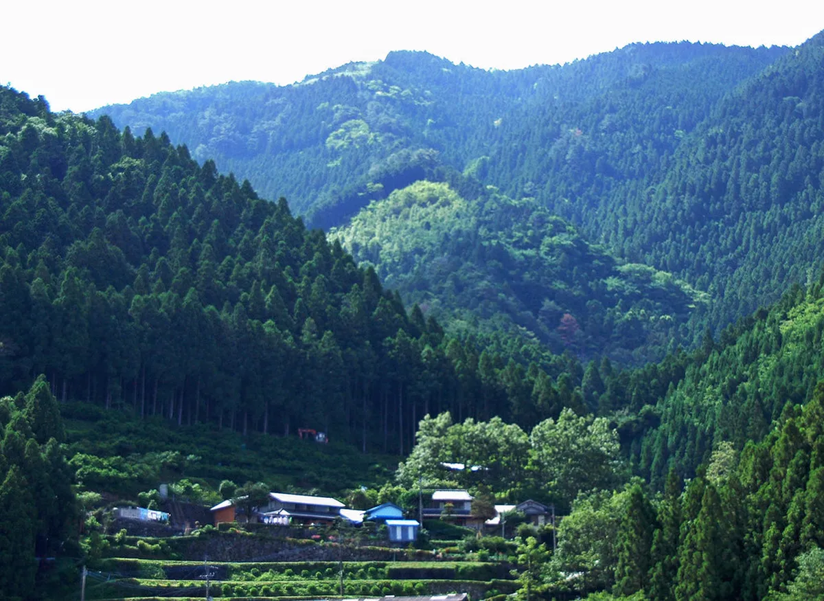 Tickets, Hours, and Practical Info in Tokushima
