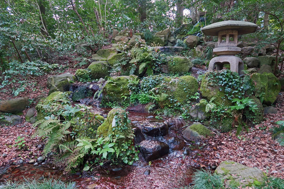 The tranquil Shin-en strolling garden at Oyama Shrine in Kanazawa featuring a koto-shaped pond with stone lanterns and mature trees
