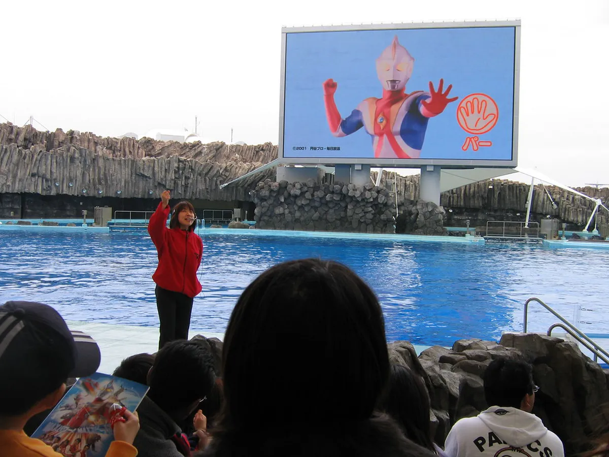 Dolphin leaping during the outdoor performance show at the Port of Nagoya Public Aquarium, Japan