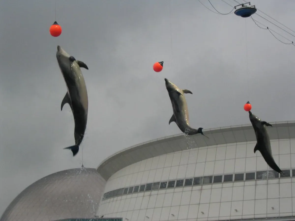 Dolphins swimming in a large tank viewed through the underwater glass at Nagoya Port Aquarium, Japan