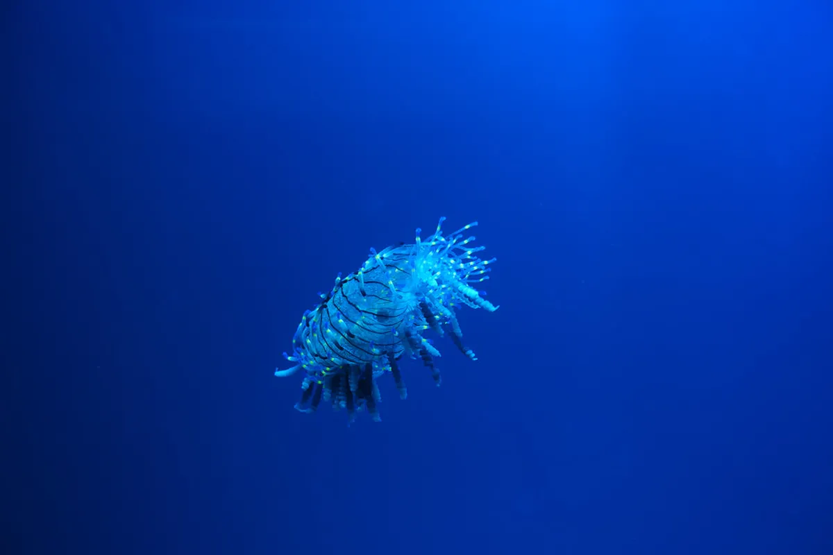 Port of Nagoya Public Aquarium