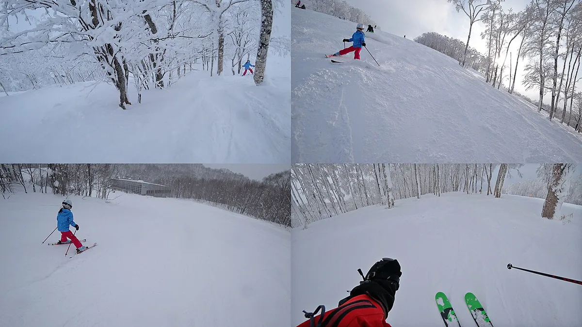 Skiers weaving through snow-laden birch trees at Rusutsu Resort, Japan — 1
