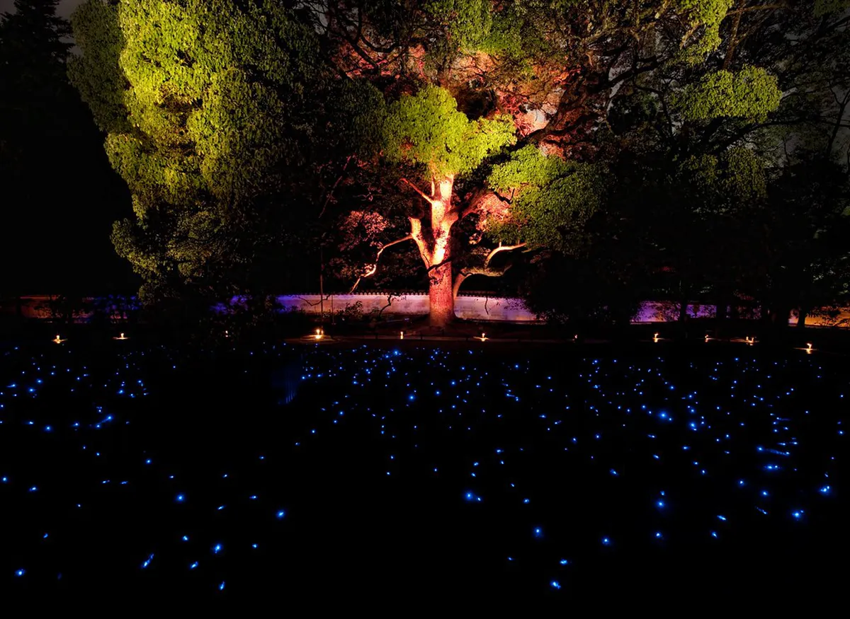 How to Reserve a Visit to Saihoji in Kyoto