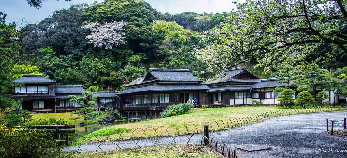 Sankeien Garden in Yokohama with traditional Japanese pond landscape and historic wooden structures