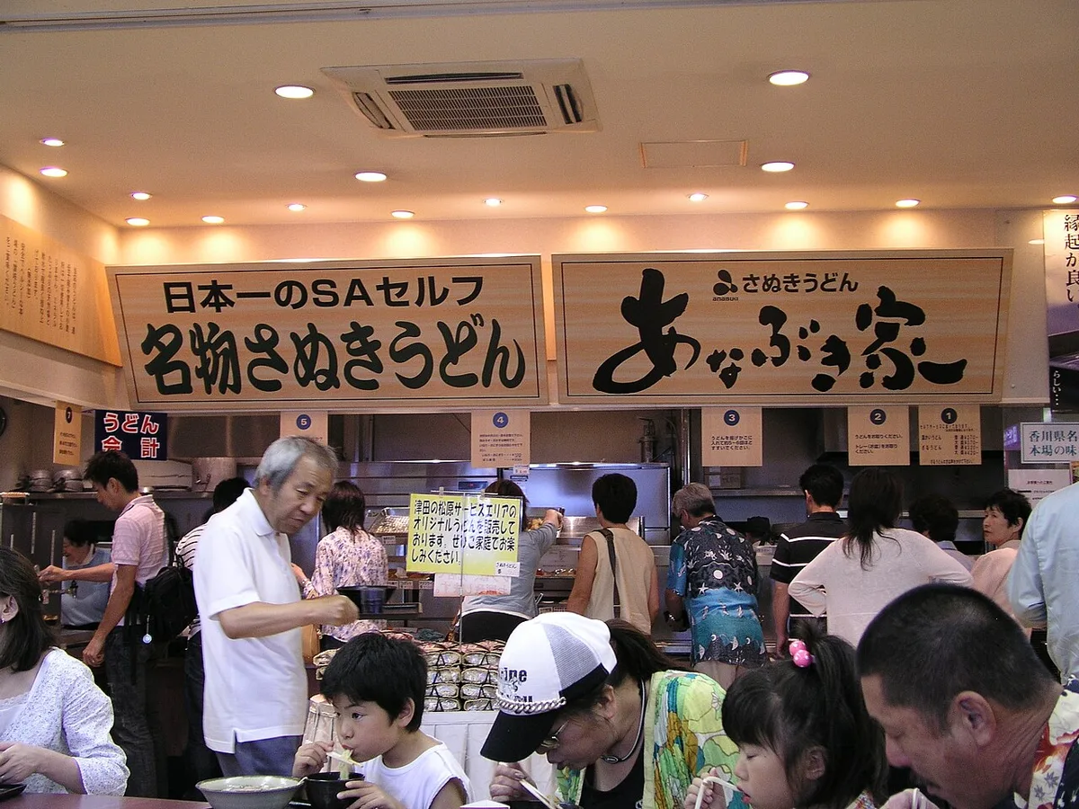 Bowl of sanuki udon with thick chewy noodles in Kagawa — 1