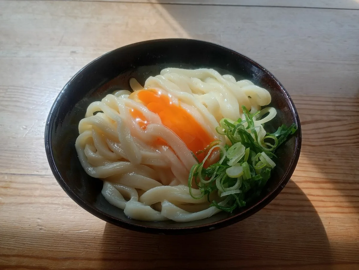 Bowl of sanuki udon with thick chewy noodles in Kagawa — 2