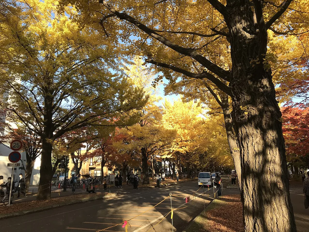 Food stalls and Hokkaido produce at Sapporo Autumn Fest in Odori Park, Japan — 2