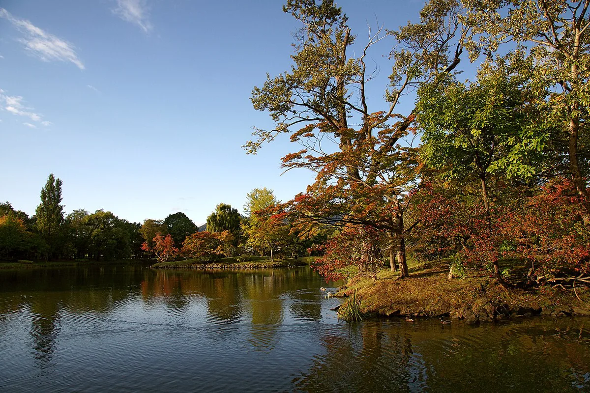 Golden ginkgo avenue at Hokkaido University in autumn, Sapporo, Japan — 1