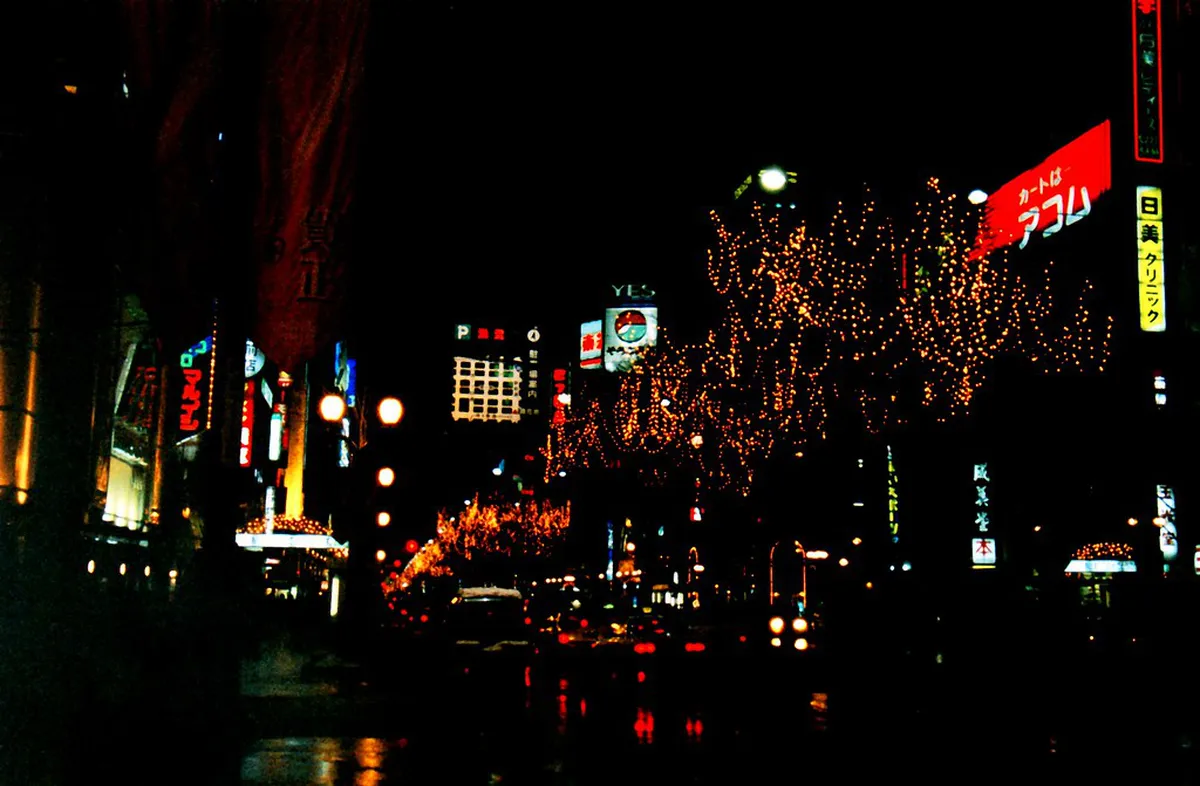 Sapporo winter scene with illuminated snow-covered trees glowing against a dark evening sky in Japan