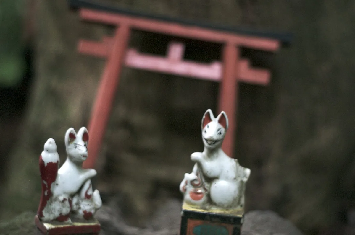 Rows of small white stone fox statues crowding mossy ledges at Sasuke Inari Shrine in Kamakura Japan