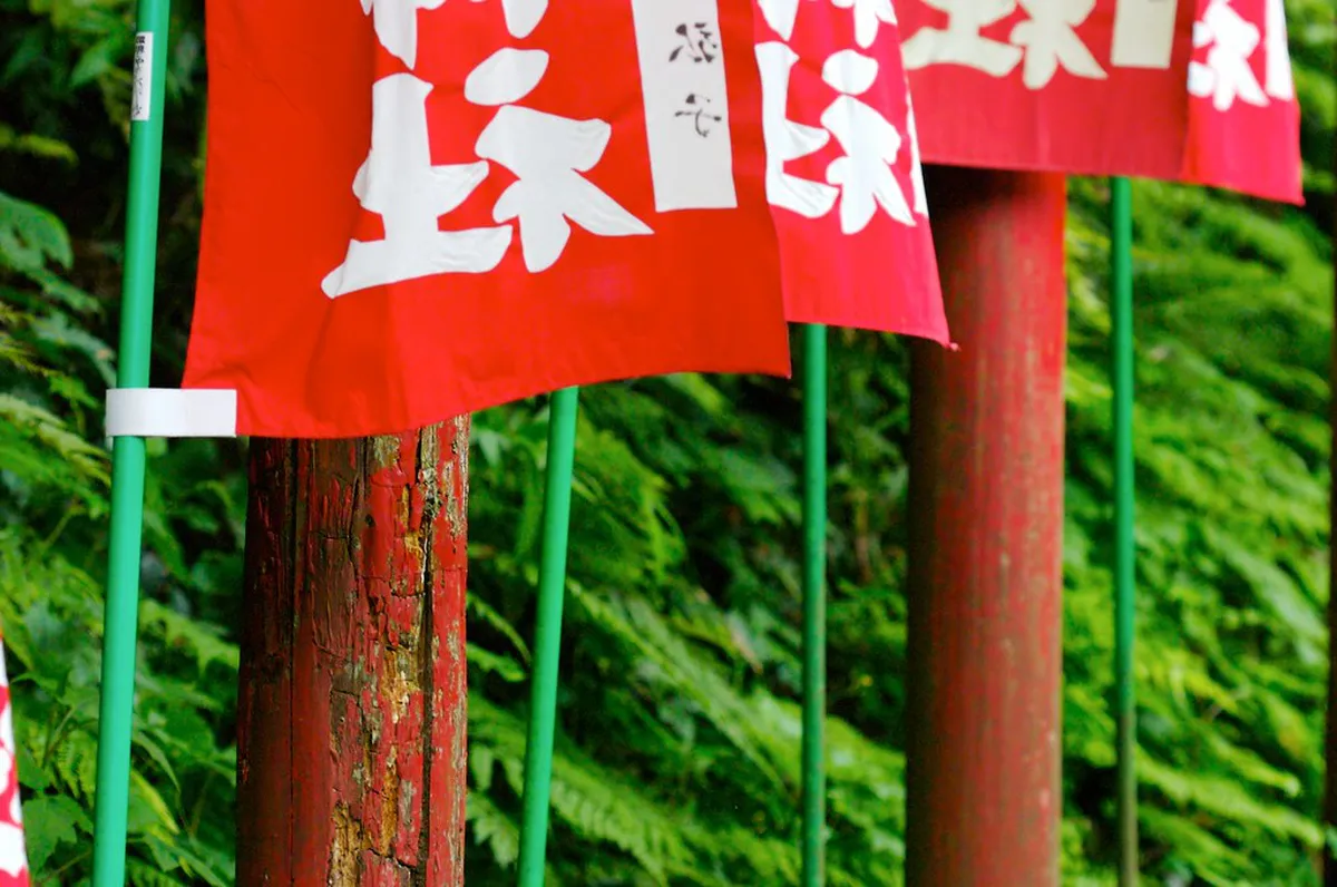 Narrow tunnel of vermilion torii gates climbing a cedar-shaded hillside at Sasuke Inari Shrine in Kamakura Japan