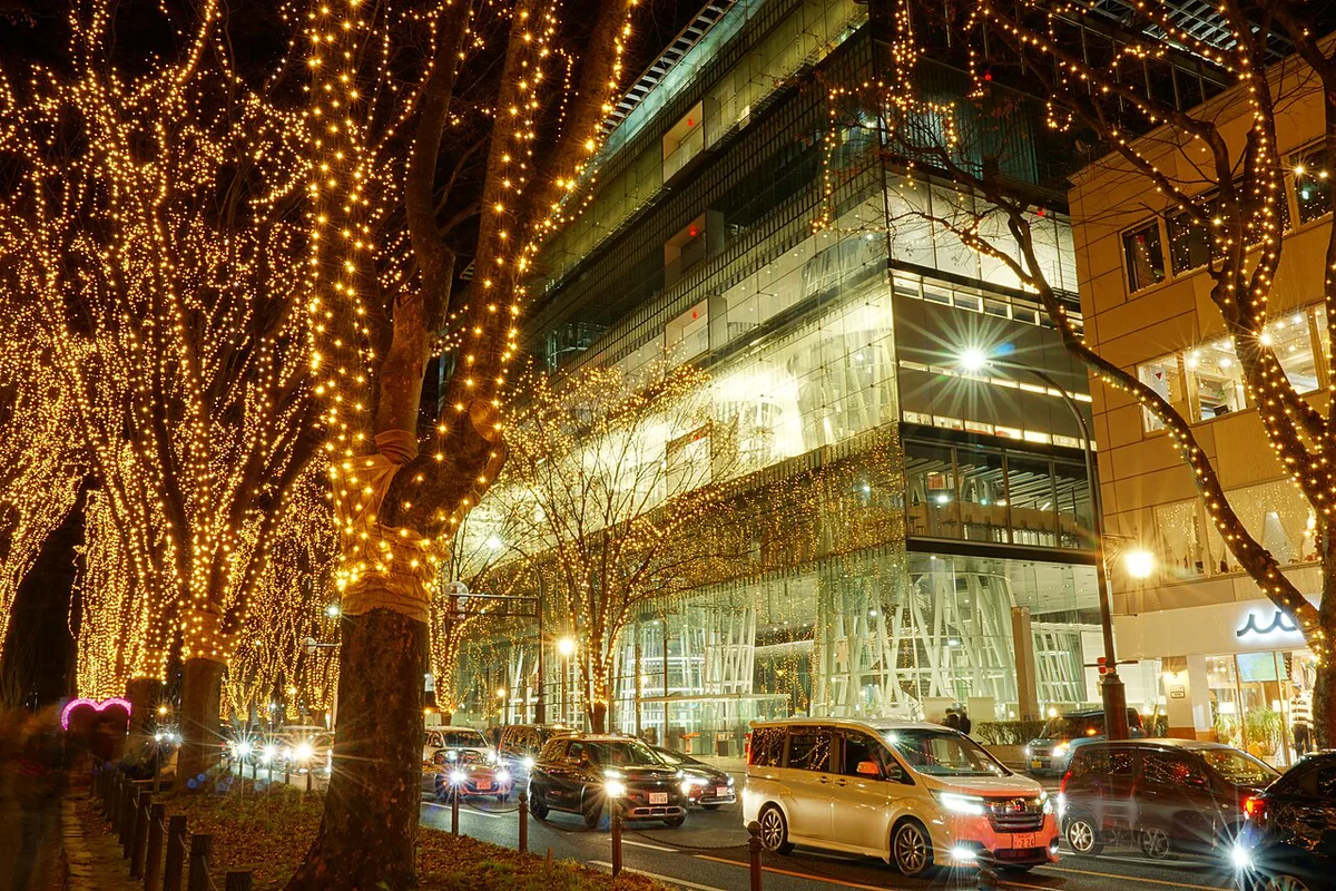 Illuminated zelkova trees along Jozenji-dori during the Sendai Pageant of Starlight, Japan — 1