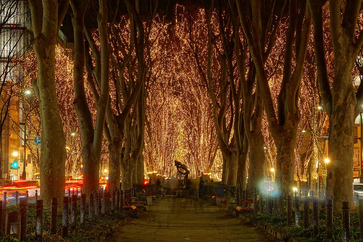 Illuminated zelkova trees along Jozenji-dori during the Sendai Pageant of Starlight, Japan — 2