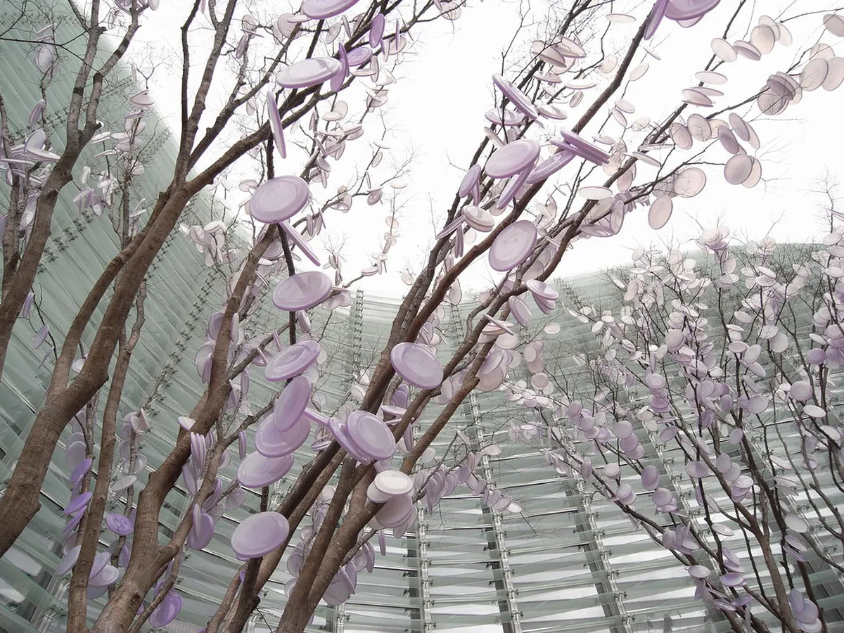 Understanding Sendai's Seasons in Sendai